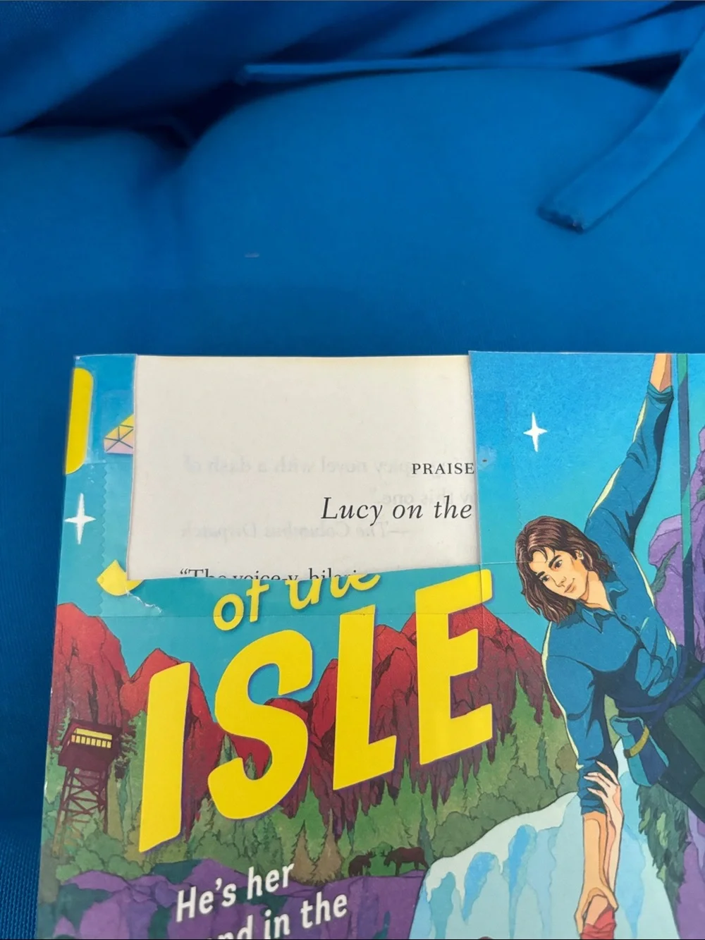 The Jewel Of The ISLE By Kerry Rea Soft Cover NWOTS Discarded Library Book